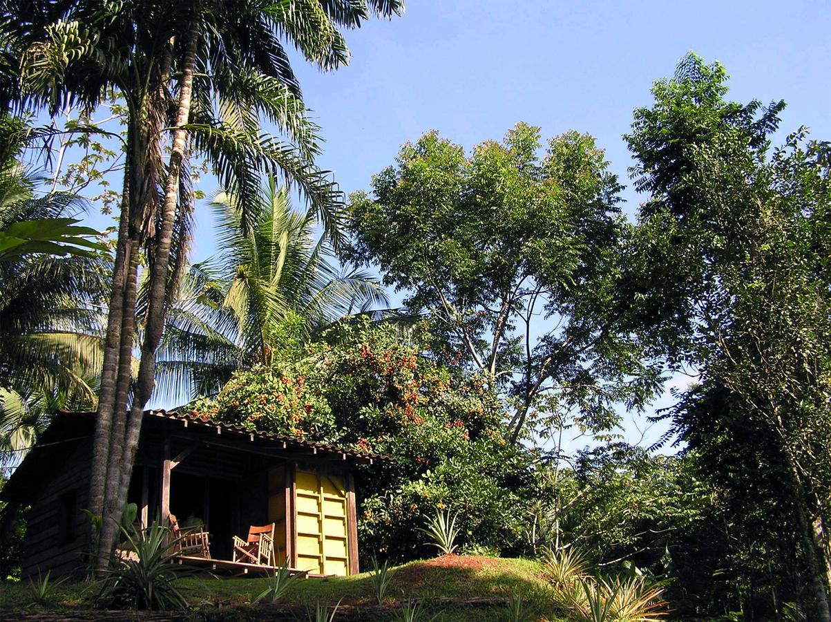 Suital Lodge Mogos ภายนอก รูปภาพ
