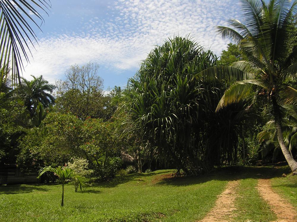 Suital Lodge Mogos ภายนอก รูปภาพ