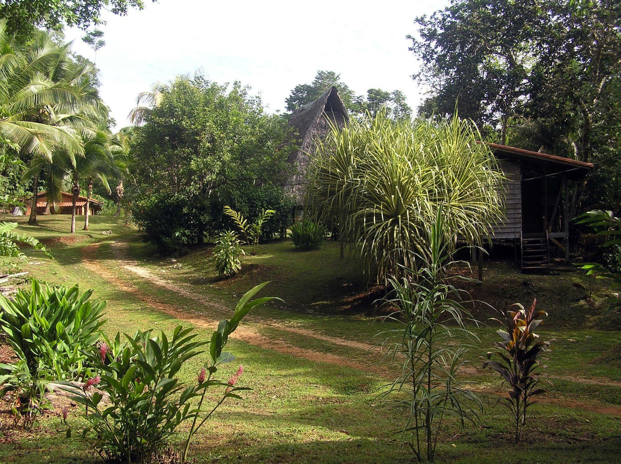Suital Lodge Mogos ภายนอก รูปภาพ